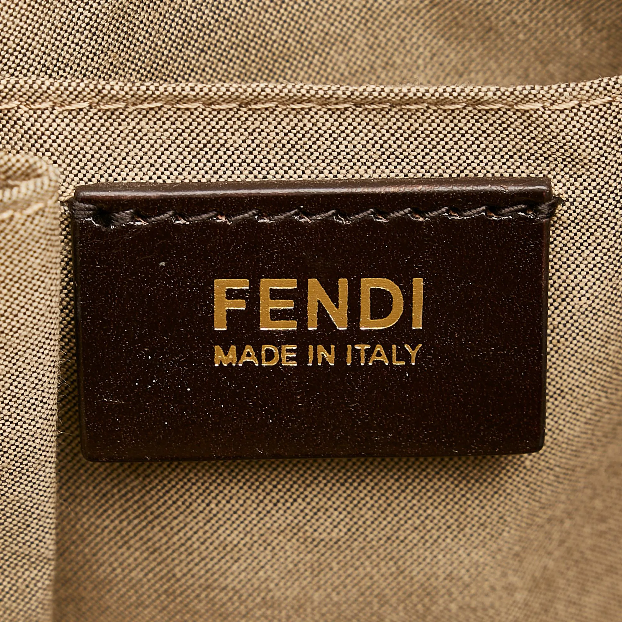 Fendi Chameleon Leather Satchel (SHG-27469)